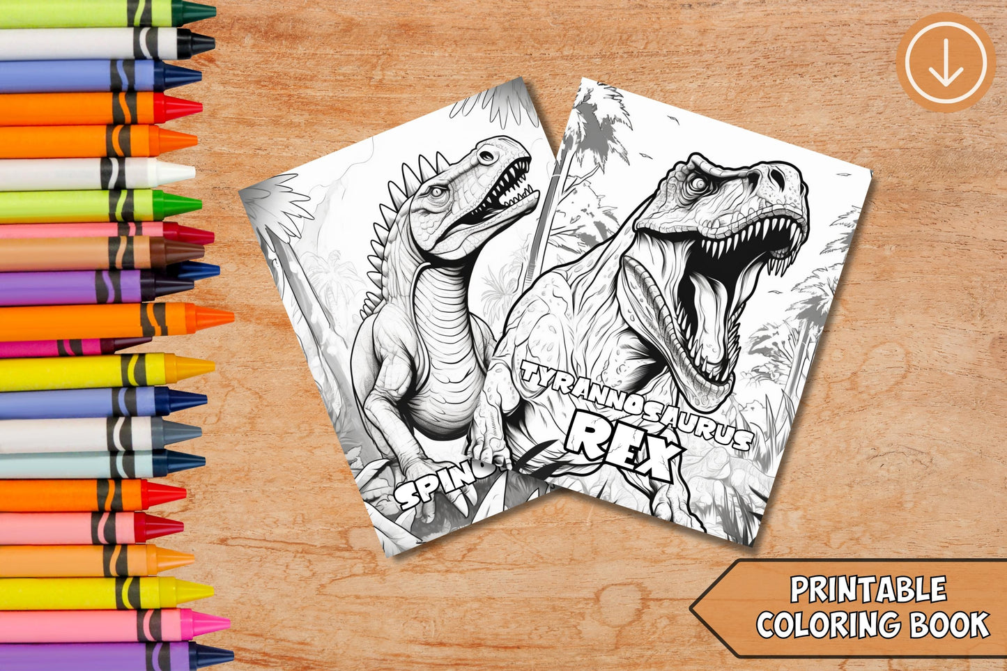 2 Dinosaur coloring books 14 pages each