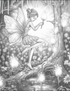 Fairies - 25 pages