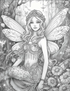 Fairies - 25 pages
