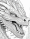 Dragons -70 pages