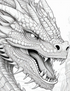 Dragons -70 pages