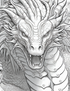 Dragons -70 pages