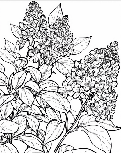 Beautiful Flower Blooms - 30 pages