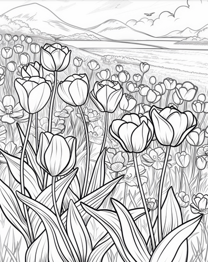 Beautiful Flower Blooms - 30 pages