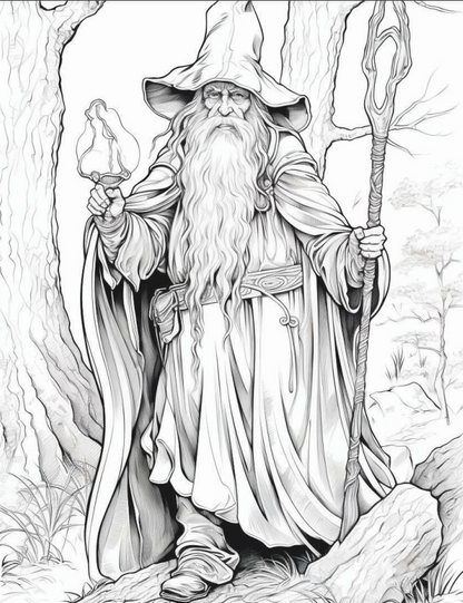 Wizards coloring book