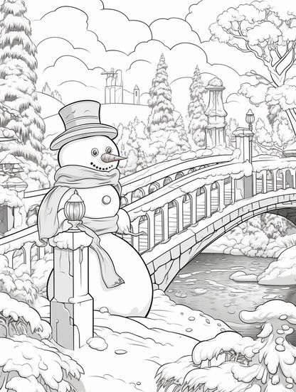 Snowman's Wintery whimsy - 20 pages